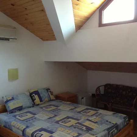 Guest Toni & Miro トリャブナ