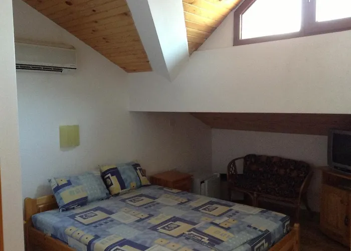 Guest Toni & Miro Tryavna